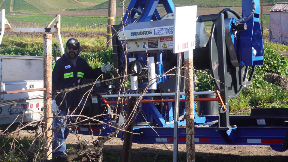 Vineyard Wire Retrieval